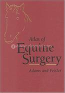 Atlas of Equine Surgery image
