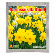 Australian Narcissus Daffodil Seeds (Intack Pack) 0.25 gm image