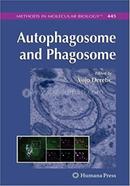 Autophagosome and Phagosome image
