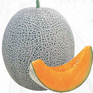 Bali Shi Organic Vegetable Seeds 10 Pcs image