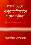 বানর থেকে মানুষের বিবর্তনে শ্রমের ভূমিকা image