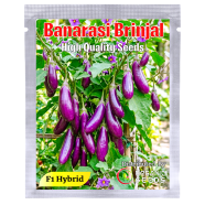 Banarasi Brinjal Seed Intact Pack 0.25gm image