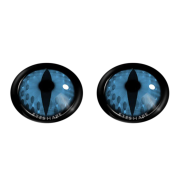 Barclub Housea Blue Colored Contact Lenses image