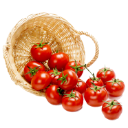 Bari 11 Tomato Hybrid Seeds 20pcs image