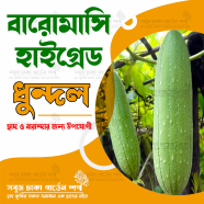 Baromasi Dhundol Seeds - 0.1Gm image