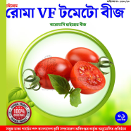 Baromasi Roma VF Tomato Seed 1 gm