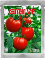 Baromasi Roma VF Tomato Seed Intack Pack-0.25 gm image