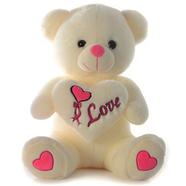 Bear with Heart Emb 25 cm icon