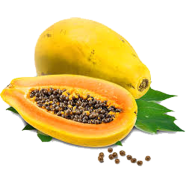 Beautiful Yellow Gold Papaya All Season - 5 Pcs Seeds image