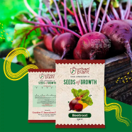 Beetroot Seeds F1 Hybrid image