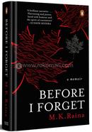 Before I Forget image
