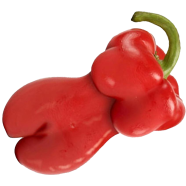 Beijing Sweet Pepper Bonsai 100 Pcs Vegetable Seeds Only- 100 Pcs image