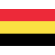Belgium Flag FIFA World Cup 2026 Printed Polyester Fabric image