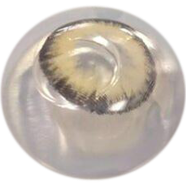 Bella Allure Blonde Color Contact Lens image