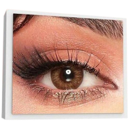 Bella Almond Brown Contact Lens With Kit Box image