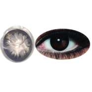 Bella Black Snow Color Contact Lens image