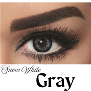 Bella Gray Snow White Color Contact lens with Regular Kit Box. image