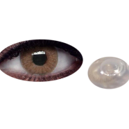 Bella Wild Honey Elite Contact Lens image