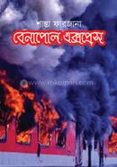 Benapol Express image