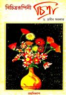 Bichitrarupini Chitra image