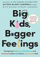 Big Kids, Bigger Feelings image
