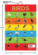 Birds - Early Learning Educational Posters For Children image
