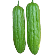Bitter Gourd Bonsai Vegetable Seeds 10 Pcs image