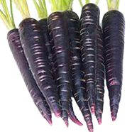 Black Carrot Seeds - 100 Pcs image