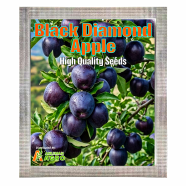 Black Diamond Apple Tree Plants For Home Garden Plants Seeds (Intack Pack) 0.25 gm image