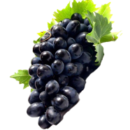 Black Finger Grape - 10 Pcs Seeds image
