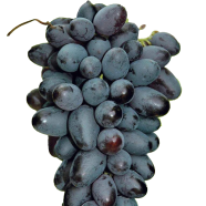 Black Finger Grape Seeds - 20 Pcs image