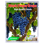 Black Graps Fruit Seeds Intact Pack-0.25 gm image