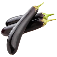 Black Long Eggplant - 33 Pcs Plus Seeds image
