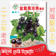 Black Pearl Tomato Seeds, Black Beauty Cherry Black Tomato, Black Gem Tomato, Cherry Tomato, Fruit Tomato image