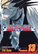 Bleach 13 image