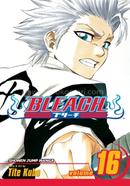 Bleach 16 image