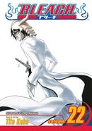 Bleach 22 image