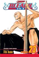 Bleach 23 image