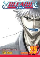 Bleach 25 image