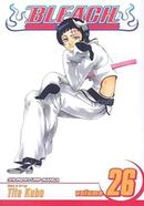 Bleach 26 image