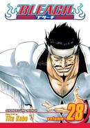 Bleach 28 image