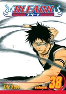 Bleach 38 image