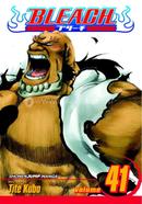 Bleach 41 image