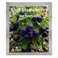 Blue Strawberry Seeds (Intack Pack) 0.25 gm image