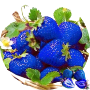 Blue Strawberry Seeds - 30 Pcs image