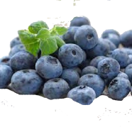 Blueberry Bonsai Fruit Tree Seeds - 20 Pcs image