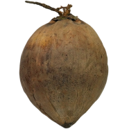 Bonobhumi King Size Coconut - 1 Pcs image