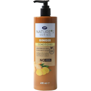Boots Natures Series Ginger Conditioner Pump 480 ml image