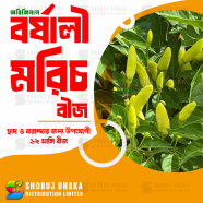 Borshali Morich Seeds image