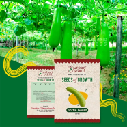 Bottle Gourd (Lau) Seeds image